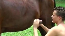 Зоофил из деревни делает минет своему любимому коню зоо порно секс с животными