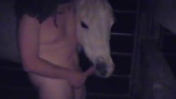 Крепкий длинноволосый зоофил обожает мастурбировать когда рядом лошадь