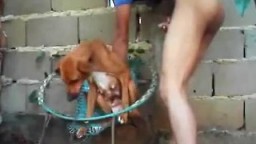 Голимый украинский зоофил заебал маленькую собаку зоо порно онлайн