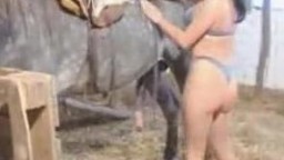 Пока муж спал фигуристая жена трахалась с лошадью в загоне оральное зоо