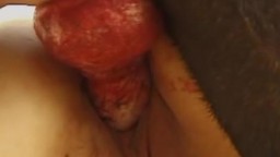 Большой собачий пенис застрял в женской пизде