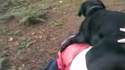 Классные зоо порно игры с собакой в лесу