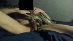 Извращенец чувственно трахает змею в дырочку зоо частное Hd