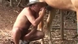 XXX zoo porn старый зоо гей в шляпе сосет коню и дрочит свой вялый пенис