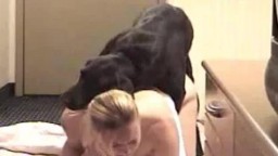 Сдобная путана с висящими сисечками дает ебать домашней собаке porno zoo видеофильм