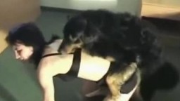 Ебля с псом черный песик трахает дамочку в комнате порно зоо домашнее