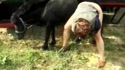 Пухлая колхозница помассажировала шмоньку на хуе маленького коня porn zoo загрузить