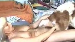 Раскорячила ноги повыше и трахается в голодную заросшую киску с собакой он-лайн porn zoo