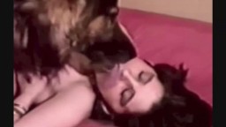 Порно зоо эротика дамочки целуют собачек взасос